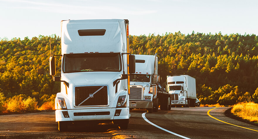 Road Freight Transportation